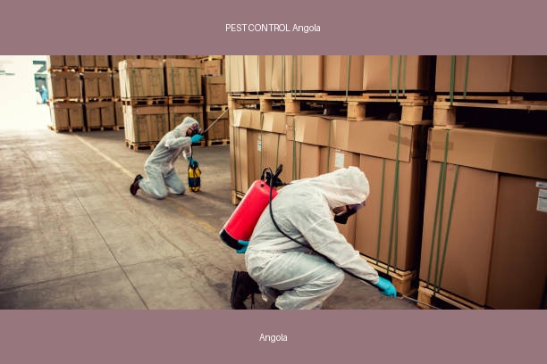 PEST CONTROL Angola